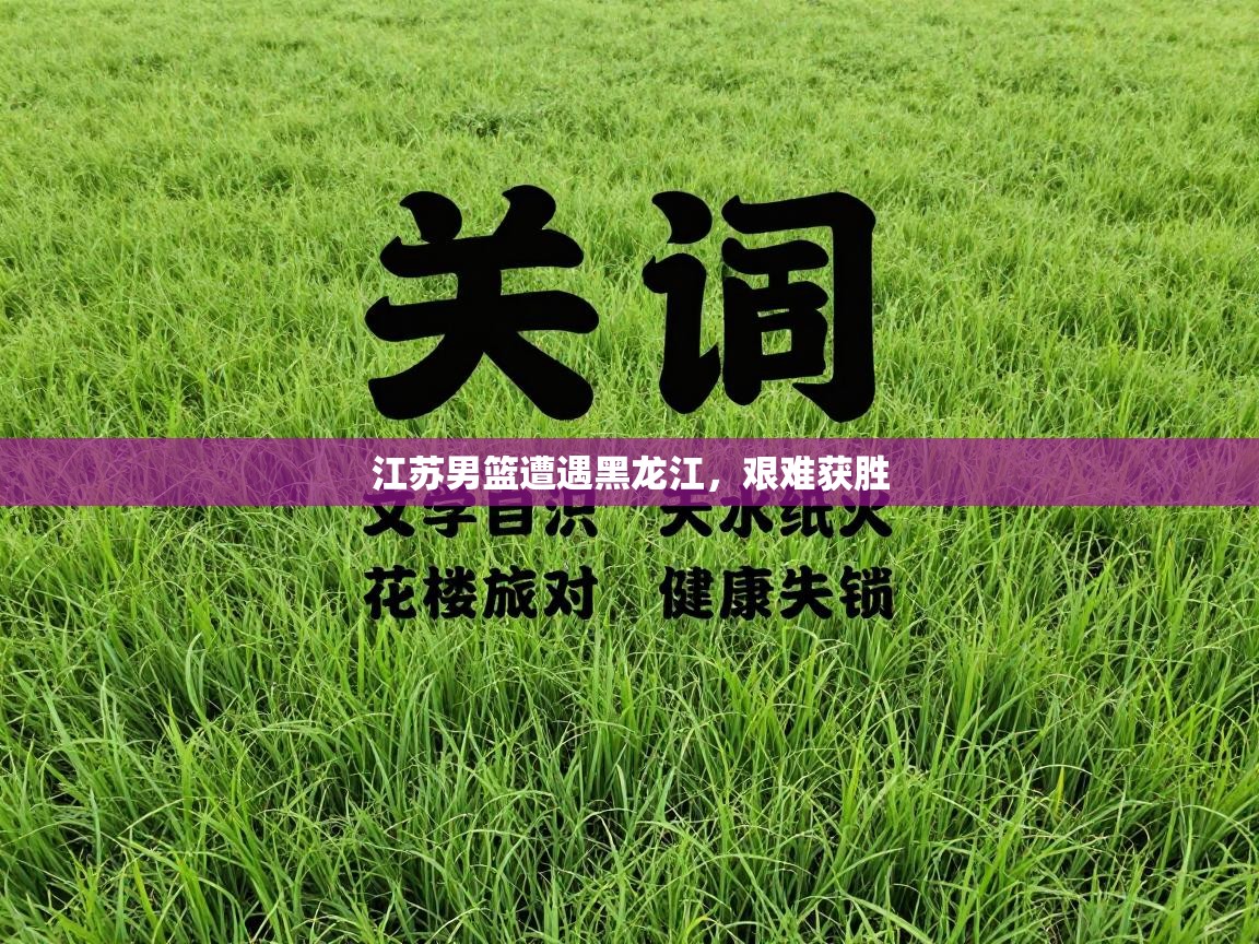 江苏男篮遭遇黑龙江，艰难获胜  第2张