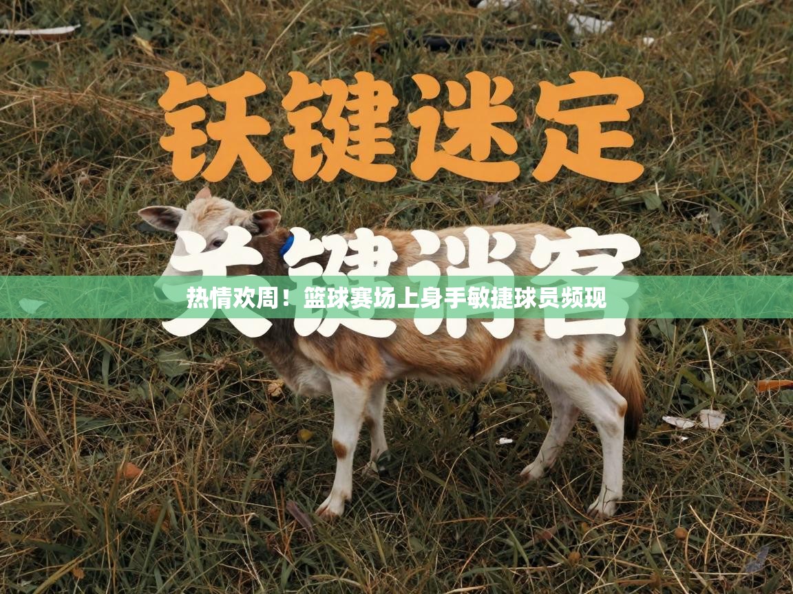 热情欢周!篮球赛场上身手敏捷球员频现 第1张